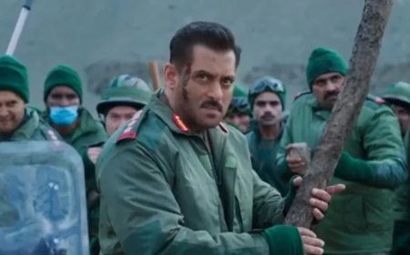 सलमान खान की फिल्म बैटल ऑफ गलवान का नाम बदला, अब मातृभूमि होगा नया टाइटल