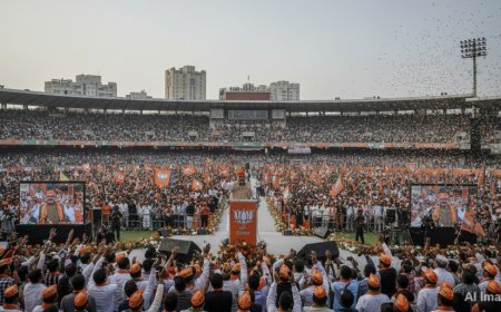 सतारा जिला परिषद चुनाव: बहुमत के बिना बीजेपी की जीत, भारी हंगामा