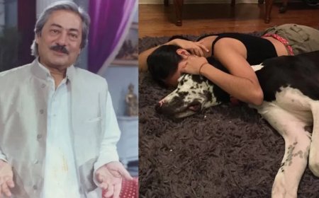 अभिनेता सईद जाफरी की बेटी सकीना जाफरी: हॉलीवुड में बनाई पहचान