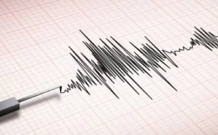 पाकिस्तान में लगातार तीसरे दिन भूकंप, रिक्टर पैमाने पर 4.6 तीव्रता दर्ज