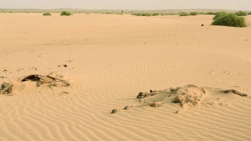 राजस्थान मौसम: 13 जिलों में पारा 35°C के पार, गर्मी और बढ़ेगी