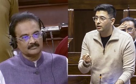 AAP ने राघव चड्ढा को राज्यसभा उपनेता पद से हटाया, अशोक मित्तल नियुक्त