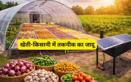 सोलर ड्रायर योजना: किसानों को ₹1.40 लाख की सब्सिडी, अब नहीं सड़ेंगी फसलें