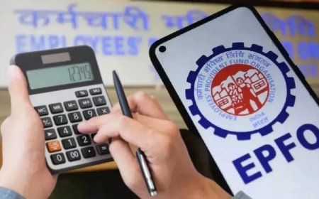 पीएफ खाते में गलत जानकारी? ऐसे सुधारें पुरानी कंपनी की गलती, नहीं फंसेगा पैसा