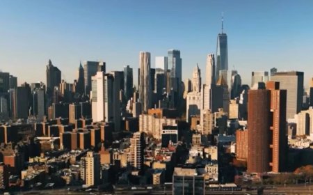 अमेरिका से मोहभंग: 40% भारतीय-अमेरिकी छोड़ना चाहते हैं देश, कार्नेगी सर्वे का बड़ा खुलासा