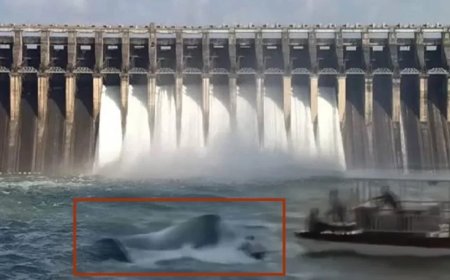 जबलपुर बरगी बांध हादसा: 40 पर्यटकों से भरा क्रूज डूबा, 4 की मौत, रेस्क्यू जारी