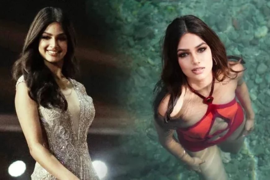 21 की उम्र में मिस यूनिवर्स, सलमान के दोस्त की फिल्म से डेब्यू, अब इस पंजाबी एक्ट्रेस को मिला बड़ा ऑफर