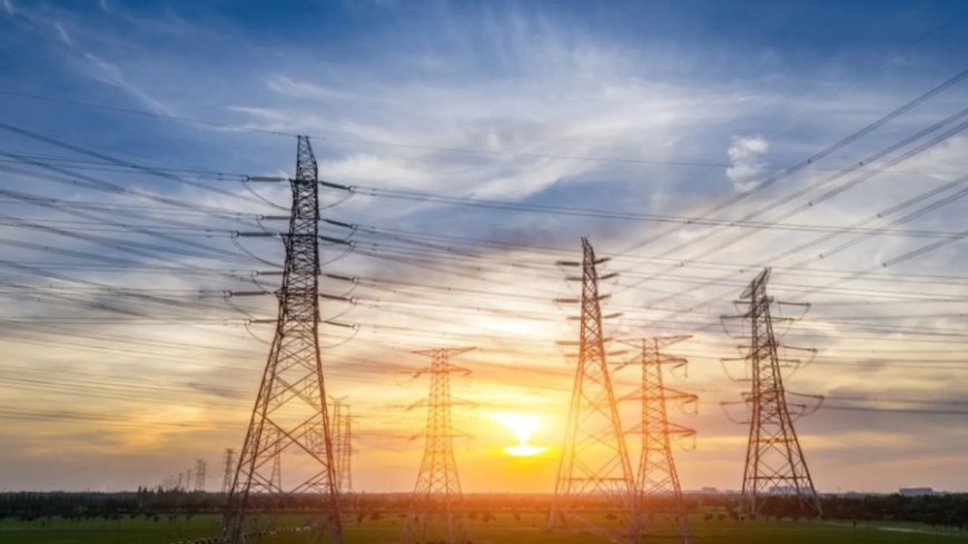 Om Power Transmission IPO: पहले दिन 25% भरा इश्यू, जानें प्राइस बैंड और GMP अपडेट