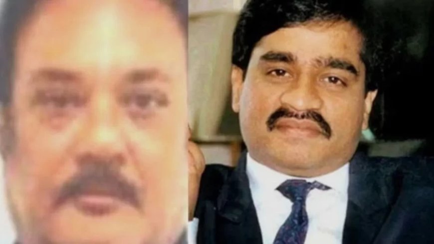 दाऊद गैंग को बड़ा झटका: तुर्की में गिरफ्तार हुआ कुख्यात ड्रग माफिया सलीम डोला