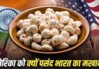 भारतीय मखाना: अमेरिका क्यों है सबसे बड़ा खरीदार? जानिए 5 मुख्य कारण