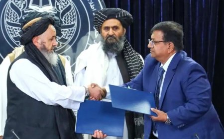 भारत-तालिबान के बीच $46.3 मिलियन का बड़ा समझौता, अफगान सीमा पर भारतीय कंपनी बनाएगी लैब