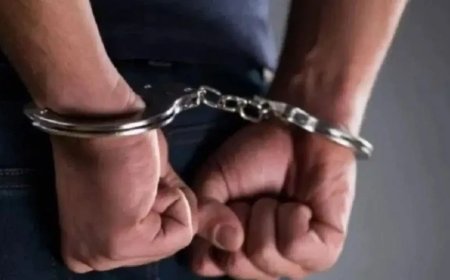 'पंजाबी डेविल्स' गैंग के संस्थापक जश्ननप्रीत को अमेरिका में जेल, हथियारों की तस्करी का आरोप