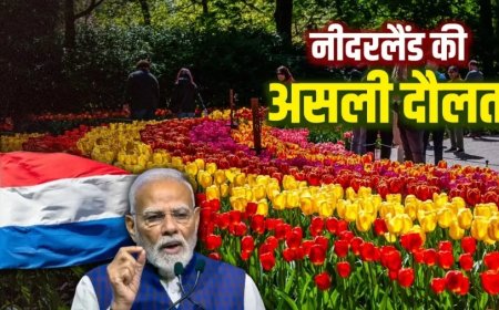 पीएम मोदी की नीदरलैंड यात्रा: आखिर कैसे यह छोटा सा देश बन गया दुनिया का कुबेर?