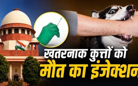 आवारा कुत्तों पर सुप्रीम कोर्ट का बड़ा फैसला: आर्टिकल 21 और खतरनाक कुत्तों को मारने की अनुमति