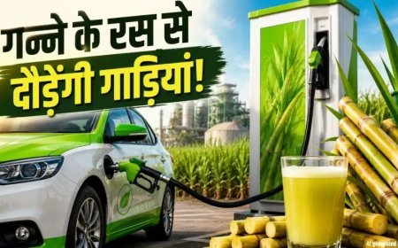 पेट्रोल डीजल की छुट्टी: गन्ने के रस से चलेंगी गाड़ियां लेकिन ऑटो कंपनियों ने रखी बड़ी शर्त
