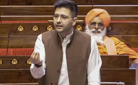 बीजेपी में शामिल होने के बाद राघव चड्ढा को राज्यसभा में मिला बड़ा पद, निभाएंगे ये जिम्मेदारी