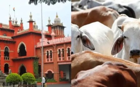 मद्रास हाई कोर्ट का फैसला: तमिलनाडु में बकरीद या किसी भी दिन गाय और बछड़े के वध पर पूर्ण प्रतिबंध