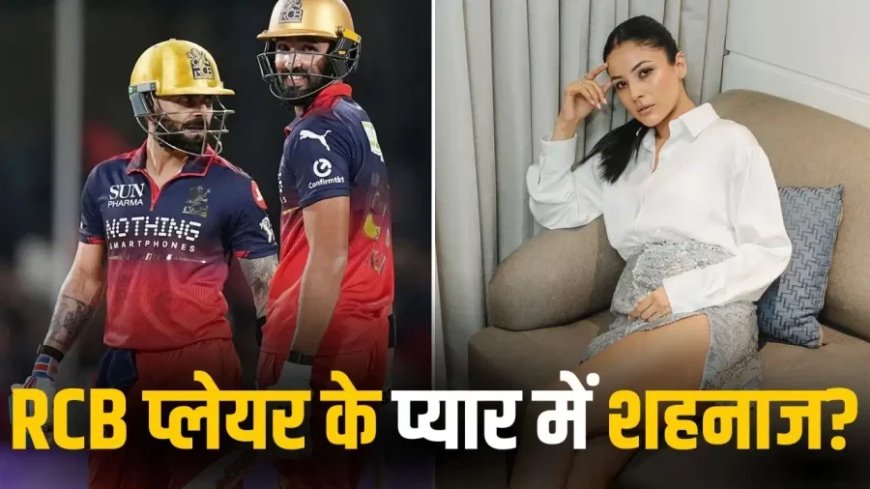 शहनाज गिल और देवदत्त पडिक्कल के बीच क्या खिचड़ी पक रही है? वायरल वीडियो ने बढ़ाई हलचल