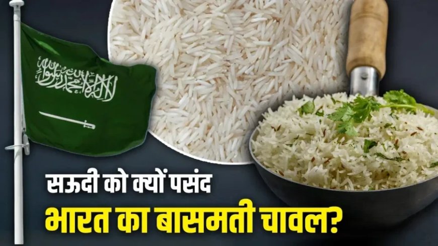 सऊदी अरब बना भारतीय बासमती चावल का सबसे बड़ा खरीदार, जानें इसके 5 बड़े कारण