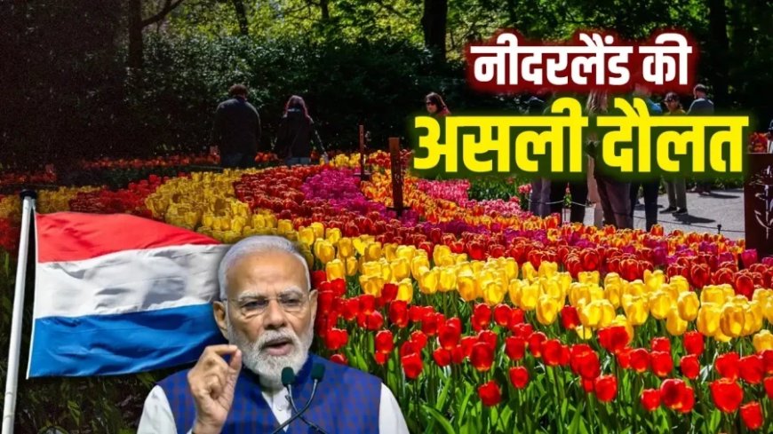 पीएम मोदी की नीदरलैंड यात्रा: आखिर कैसे यह छोटा सा देश बन गया दुनिया का कुबेर?