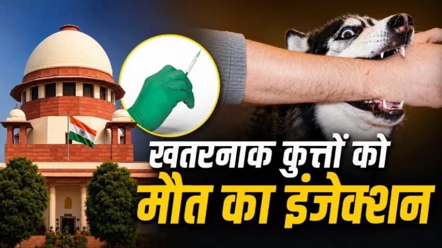 आवारा कुत्तों पर सुप्रीम कोर्ट का बड़ा फैसला: आर्टिकल 21 और खतरनाक कुत्तों को मारने की अनुमति