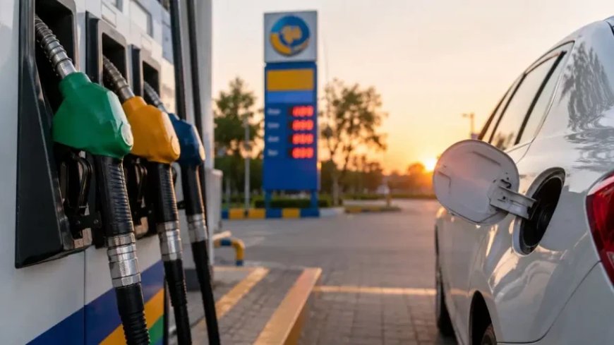 Petrol Diesel Price Today: दिल्ली में कीमतें स्थिर, चेन्नई और जयपुर में मिली राहत