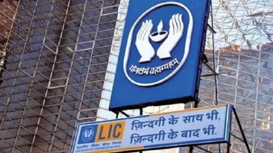 एलआईसी की 5 सबसे बेहतरीन पॉलिसी: मात्र 45 रुपये से बनाएं 25 लाख का फंड