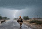 राजस्थान मौसम अपडेट: 25 जिलों में बारिश और ओलावृष्टि का अलर्ट, अजमेर-नागौर में बदला मौसम