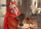 अनीता बिश्नोई आत्महत्या प्रयास: ट्रोलिंग से परेशान होकर जोधपुर की इंफ्लुएंसर ने खाया जहर