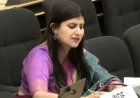 कश्मीर और आतंक पर भारत ने यूएन में पाकिस्तान को लताड़ा