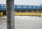 Yamuna Water MoA : हरियाणा से राजस्थान आएंगी 3 बड़ी पाइपलाइनें, शेखावाटी के प्यासे कंठों को मिलेगा पानी