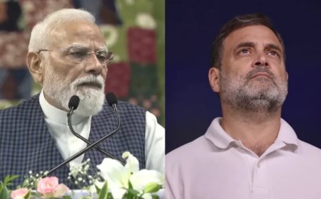 पीएम मोदी का राहुल गांधी पर प्रहार: कहा- निराशावादी लोग भारत को नीचा दिखाना चाहते हैं