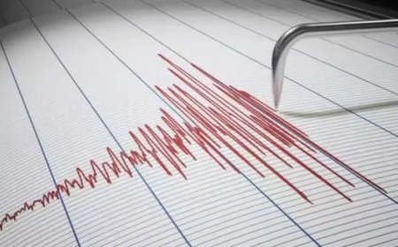 फिलीपींस के मिंदानाओ में 7 दशमलव 8 तीव्रता का भीषण भूकंप, सुनामी का अलर्ट जारी