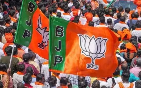 मध्य प्रदेश राज्यसभा चुनाव: भाजपा के तीनों उम्मीदवार निर्विरोध जीते, कांग्रेस का प्रदर्शन