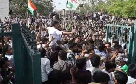 जयपुर में कॉकरोच जनता पार्टी के संस्थापक अभिजीत दीपके की पिटाई, सरेआम जड़े थप्पड़
