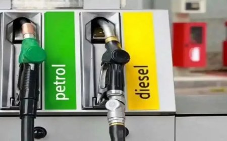Petrol Diesel Price Today: कच्चे तेल में भारी गिरावट के बावजूद पेट्रोल डीजल के दाम स्थिर, जानें अपने शहर का रेट