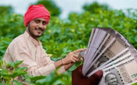 पीएम मोदी ने जारी की पीएम-किसान की 23वीं किस्त: किसानों को मिला 18,880 करोड़ रुपये का उपहार
