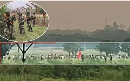 बंगाल सीमा पर घुसपैठ की बड़ी कोशिश नाकाम, मालदा में बीएसएफ ने खदेड़े सैकड़ों बांग्लादेशी