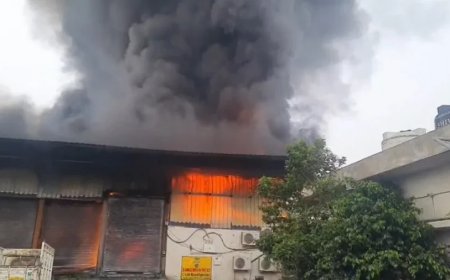 पटना के दीदारगंज में तेल गोदाम में भीषण आग, 24 दमकल गाड़ियां मौके पर तैनात