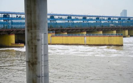 Yamuna Water MoA : हरियाणा से राजस्थान आएंगी 3 बड़ी पाइपलाइनें, शेखावाटी के प्यासे कंठों को मिलेगा पानी