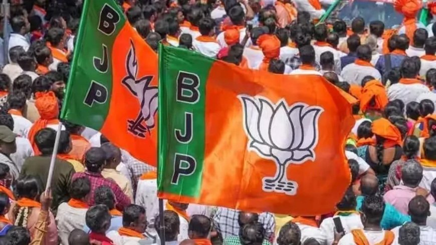 मध्य प्रदेश राज्यसभा चुनाव: भाजपा के तीनों उम्मीदवार निर्विरोध जीते, कांग्रेस का प्रदर्शन
