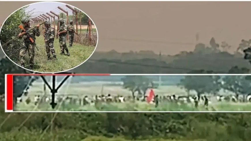 बंगाल सीमा पर घुसपैठ की बड़ी कोशिश नाकाम, मालदा में बीएसएफ ने खदेड़े सैकड़ों बांग्लादेशी