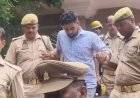 फिरोजाबाद में डेढ़ साल के मासूम की हत्या करने वाले दरिंदे को फांसी, 41 दिन में आया फैसला