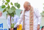 अहमदाबाद का गिनीज वर्ल्ड रिकॉर्ड: मियावाकी तकनीक से 1 घंटे में लगाए 3.61 लाख पौधे
