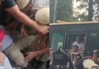 पीएम आवास के बाहर प्रदर्शन: पुलिस ने राहुल गांधी को उठाकर हटाया, प्रियंका और अखिलेश भी हिरासत में