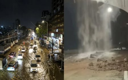भारी बारिश और लैंडस्लाइड का कहर, मुंबई यूनिवर्सिटी की परीक्षाएं रद्द, यातायात ठप