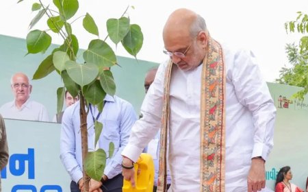 अहमदाबाद का गिनीज वर्ल्ड रिकॉर्ड: मियावाकी तकनीक से 1 घंटे में लगाए 3.61 लाख पौधे