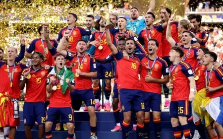 FIFA World Cup Final: स्पेन फिर बना वर्ल्ड चैंपियन, फेरान टॉरेस के गोल से अर्जेंटीना को दी शिकस्त