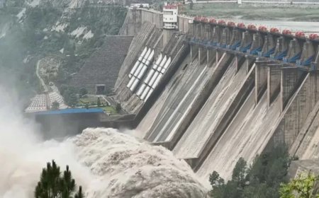 Indus Waters Treaty