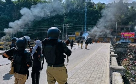 भारत ने न्यूयॉर्क टाइम्स को लताड़ा, कहा पाकिस्तानी कश्मीर नहीं यह पीओके है